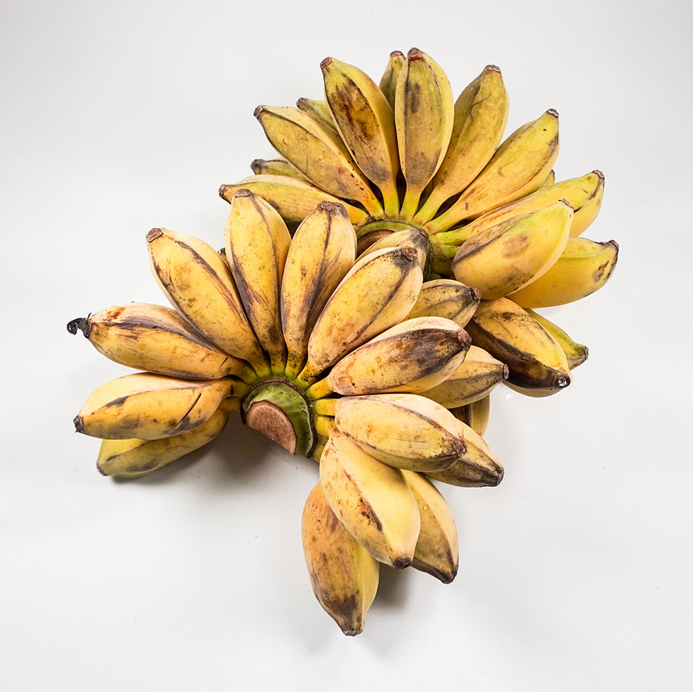 Plantain is a source of nutrition not to be missed – MTFruit | Fruit ...